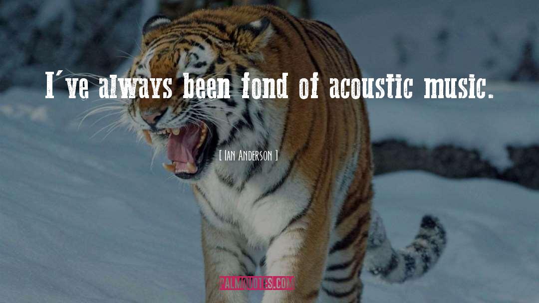 Acoustic Music quotes by Ian Anderson
