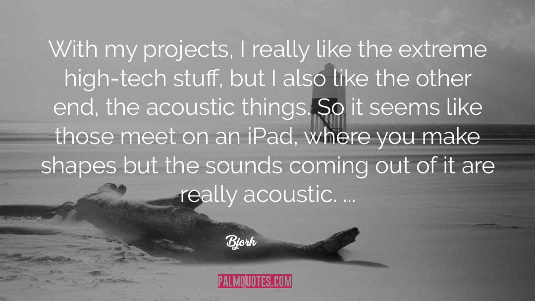 Acoustic quotes by Bjork