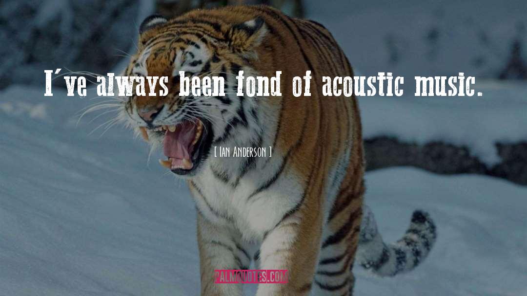 Acoustic quotes by Ian Anderson