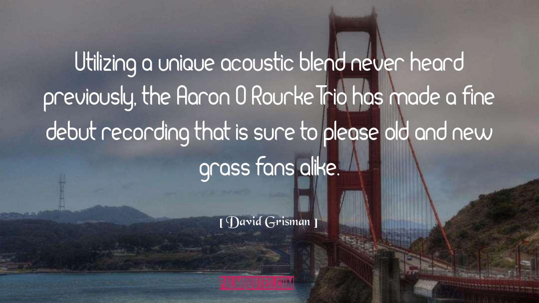 Acoustics quotes by David Grisman