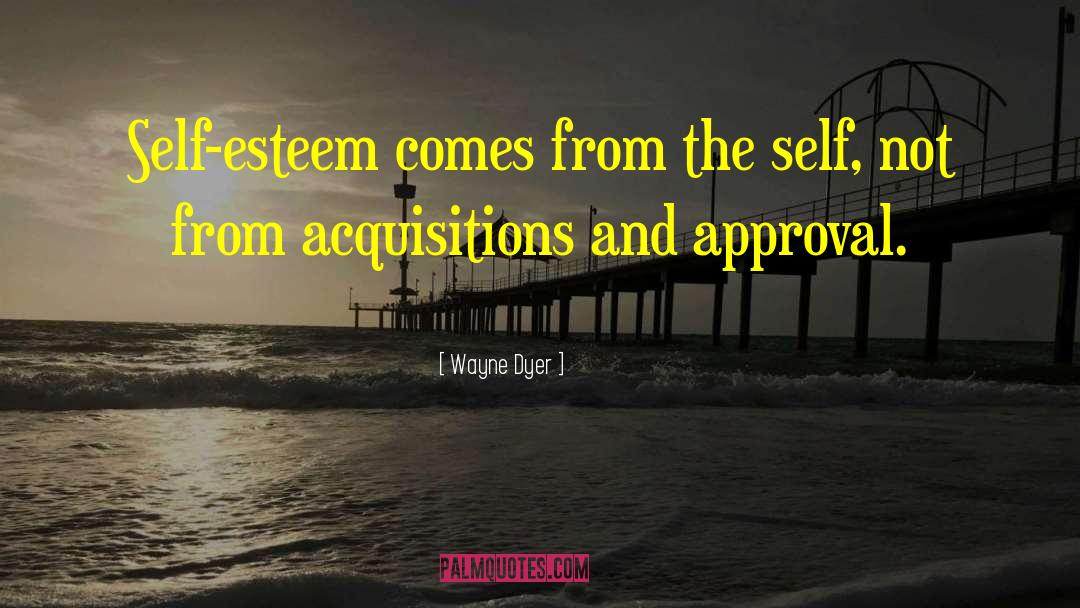 Acquisitions quotes by Wayne Dyer