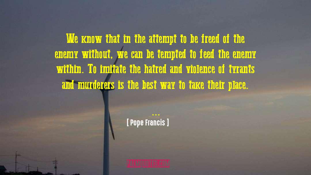 Acremant Murderer quotes by Pope Francis