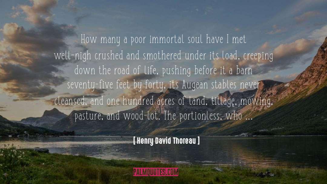 Acres quotes by Henry David Thoreau