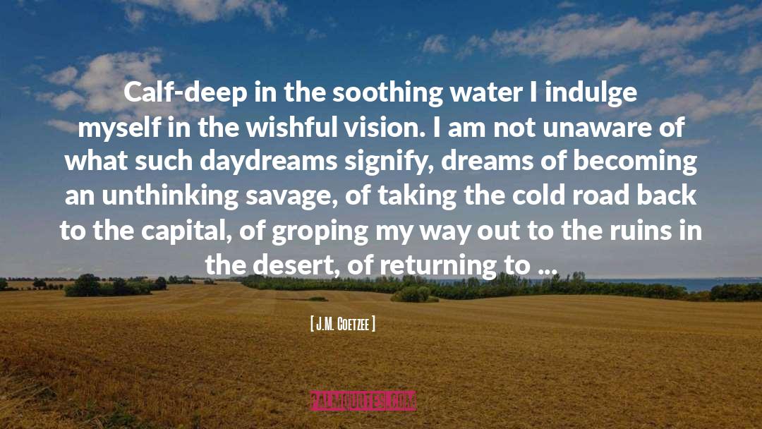 Acres quotes by J.M. Coetzee