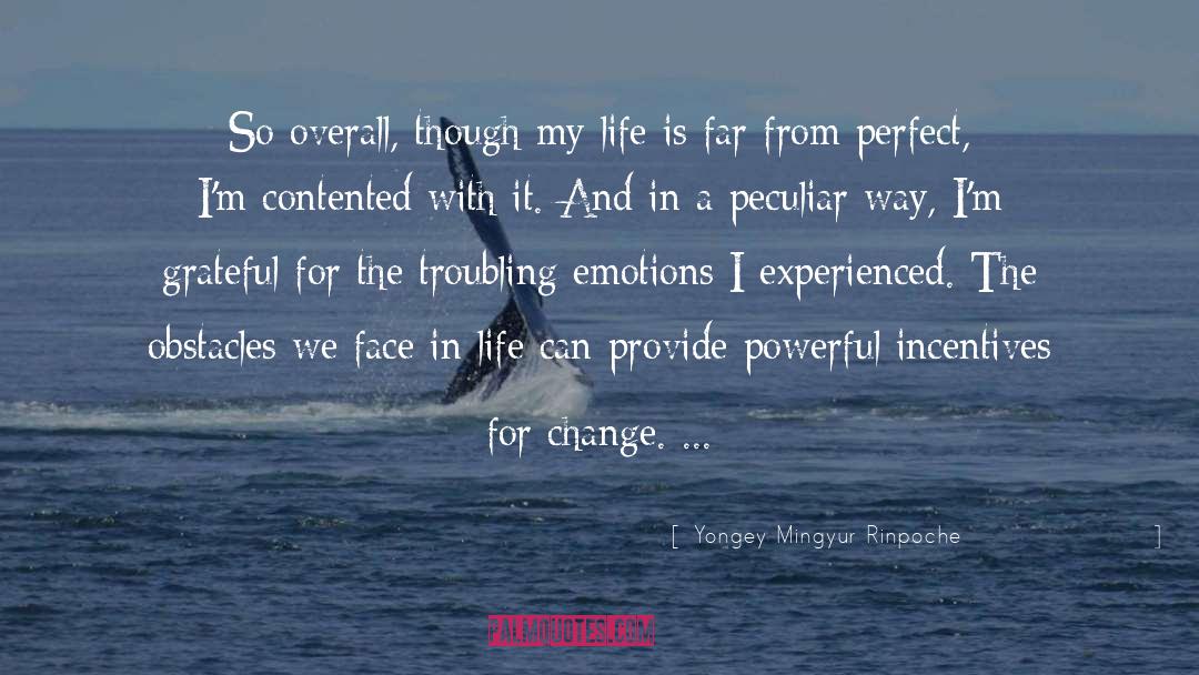 Across My Face quotes by Yongey Mingyur Rinpoche