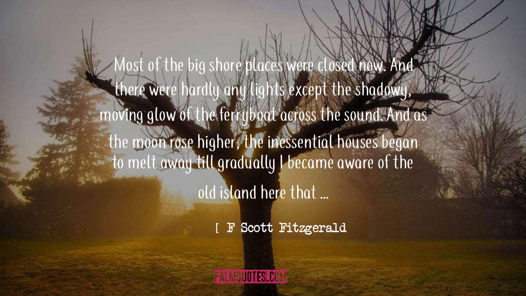 Across quotes by F Scott Fitzgerald