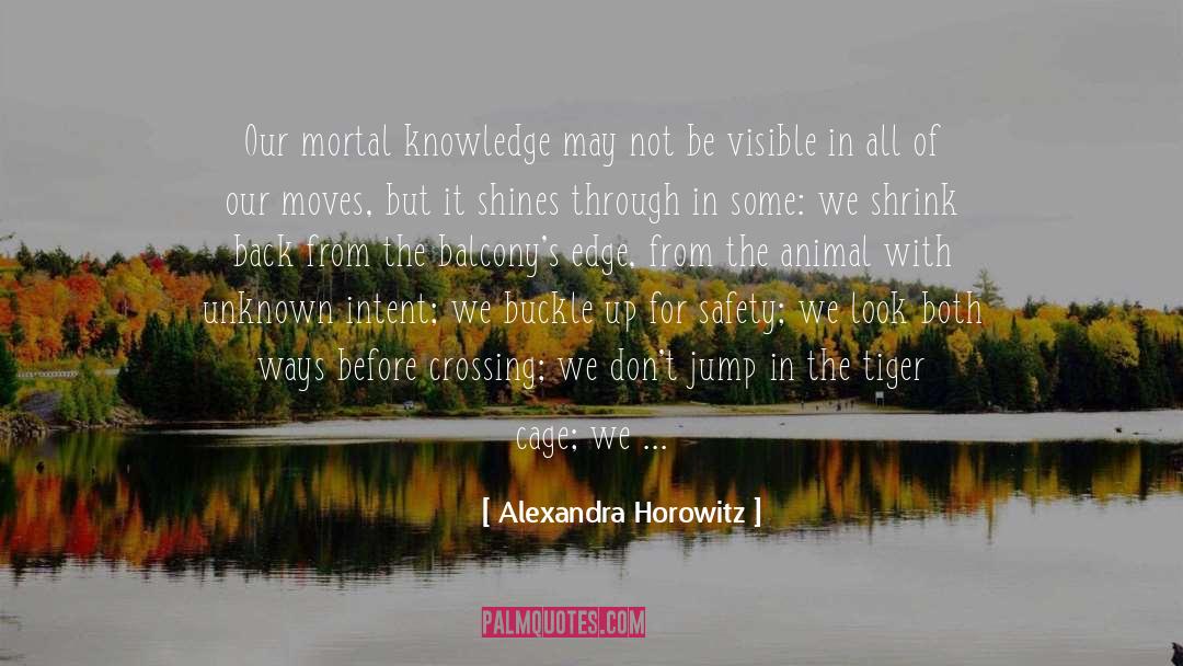 Act I quotes by Alexandra Horowitz