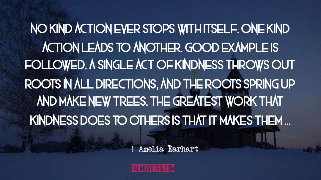 Act Of Kindness quotes by Amelia Earhart