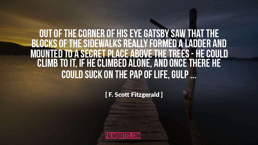 Actinomyces On Pap quotes by F. Scott Fitzgerald