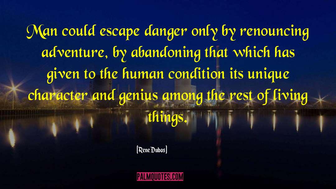 Action And Adventure quotes by Rene Dubos