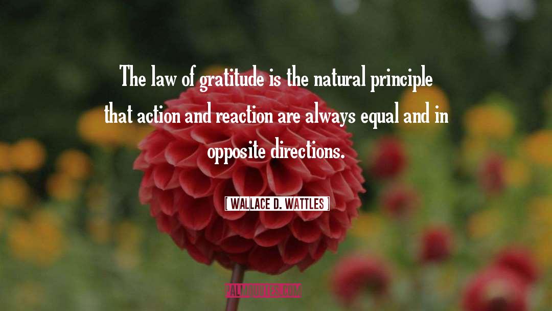 Action And Reaction quotes by Wallace D. Wattles