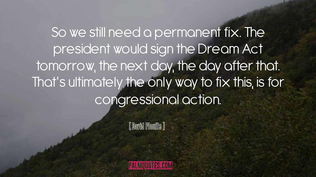 Action Dream quotes by David Plouffe