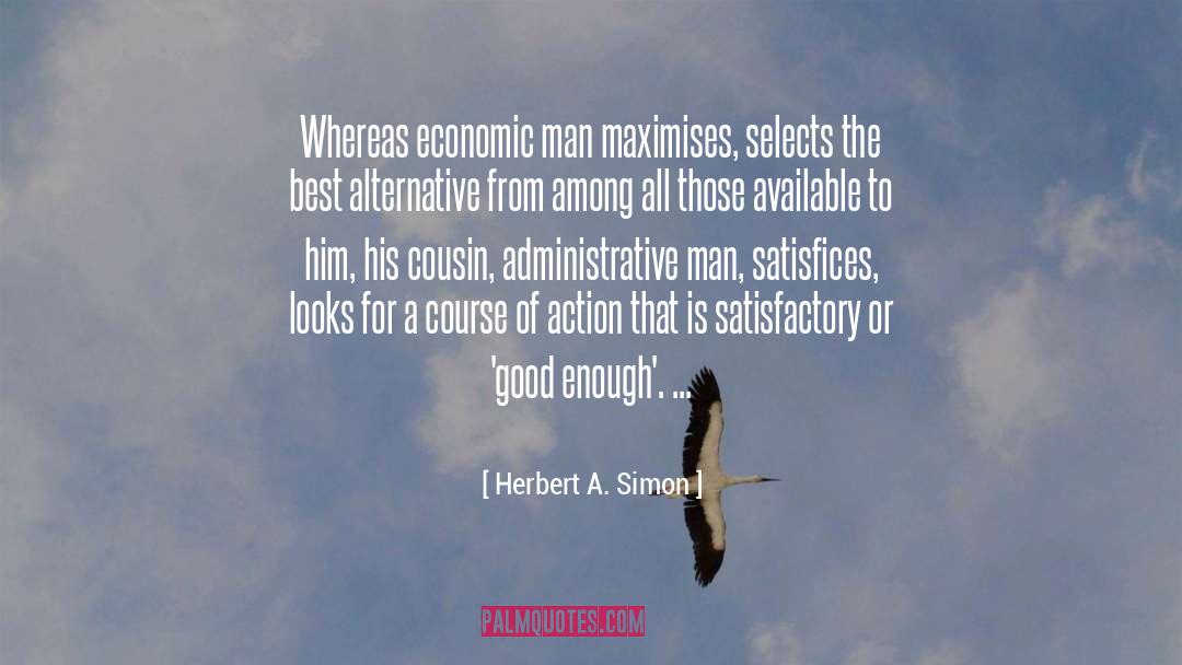 Action Hero quotes by Herbert A. Simon