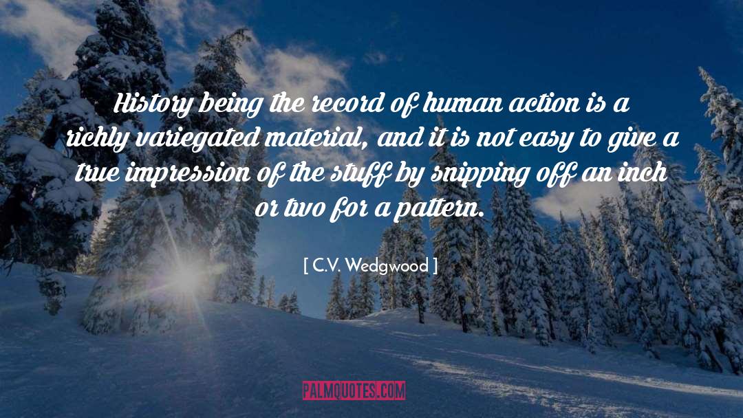 Action quotes by C.V. Wedgwood