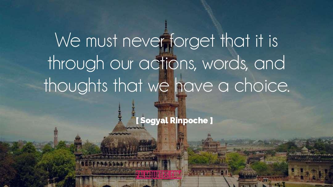 Actions Words quotes by Sogyal Rinpoche