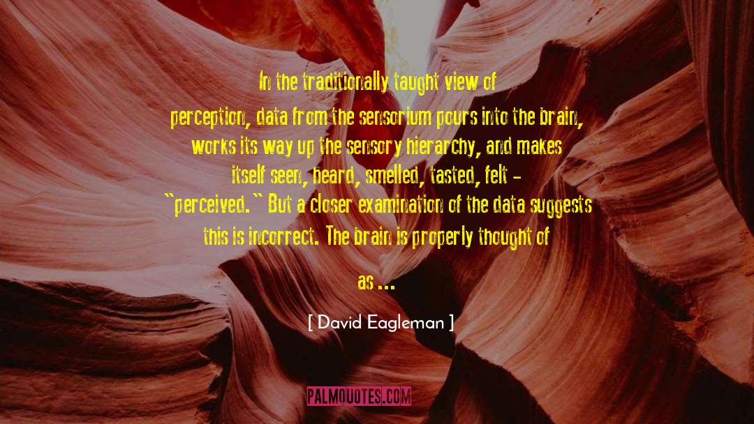 Activation quotes by David Eagleman