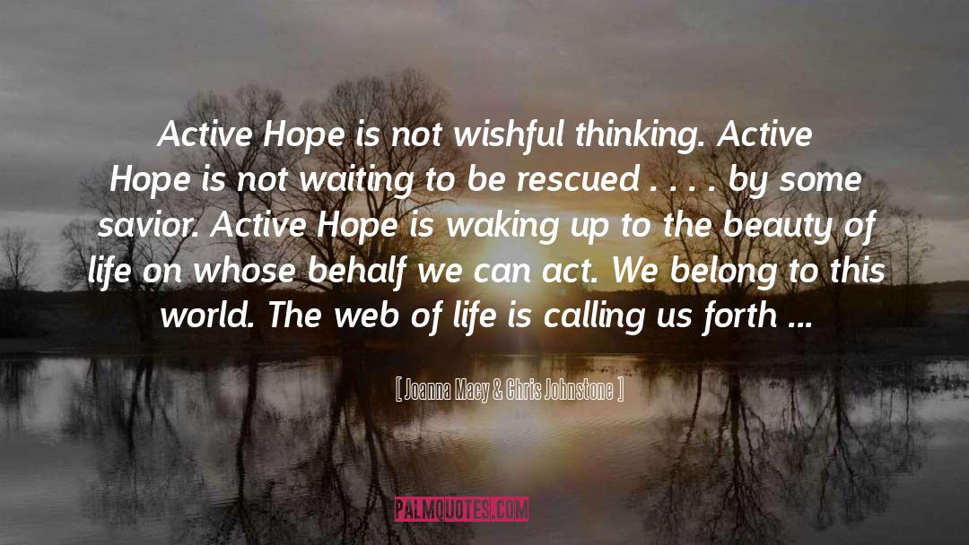 Active Hope quotes by Joanna Macy & Chris Johnstone