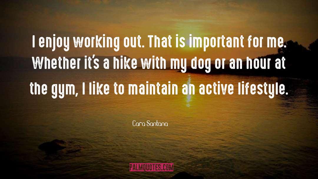 Active Lifestyle quotes by Cara Santana