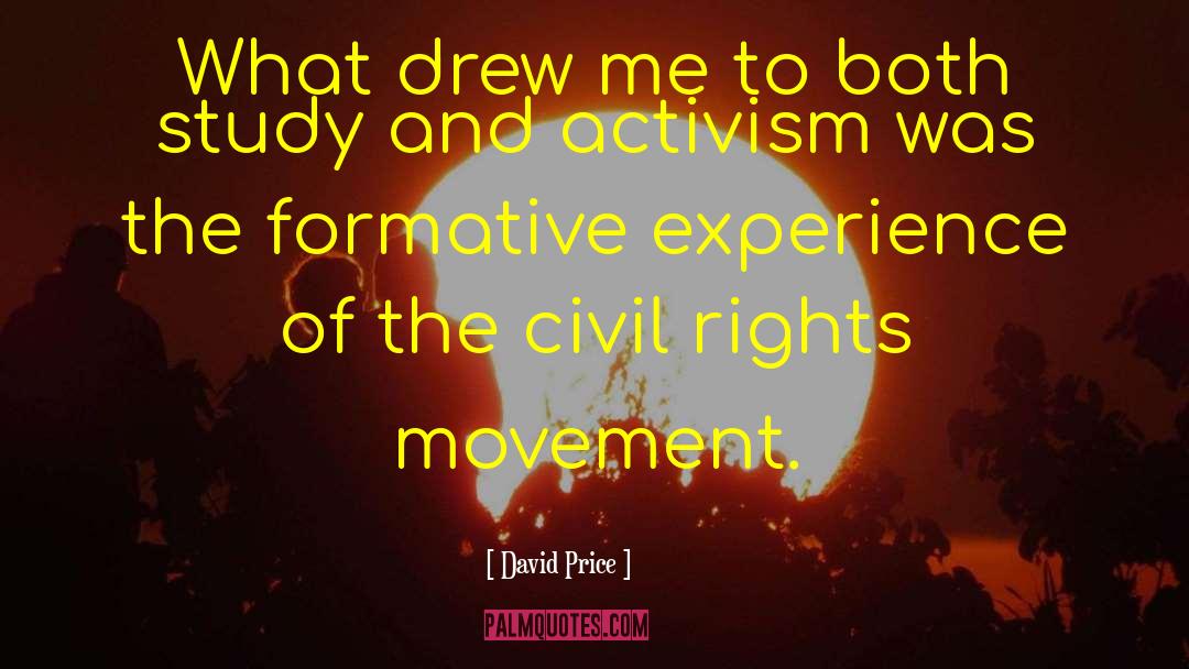 Activism quotes by David Price