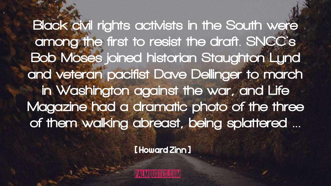 Activists quotes by Howard Zinn