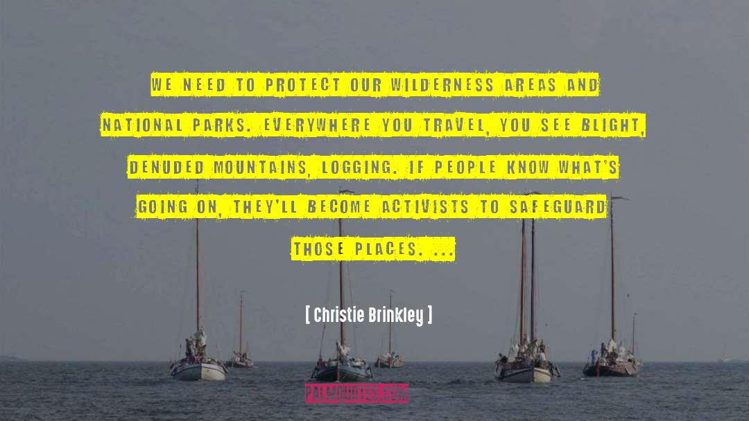 Activists quotes by Christie Brinkley