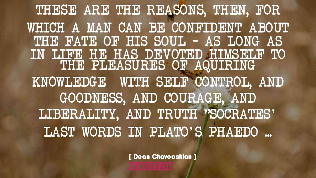 Acts Of Goodness quotes by Dean Chavooshian