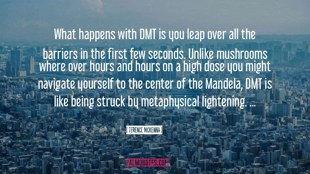 Actualized 5 Meo Dmt quotes by Terence McKenna