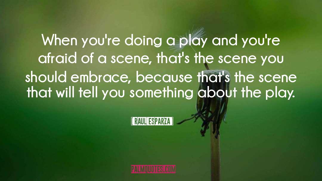 Actually Doing Something quotes by Raul Esparza