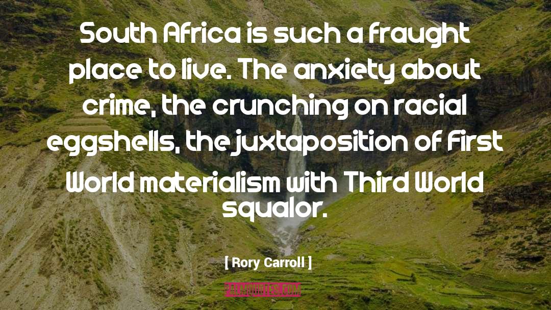 Acute Anxiety quotes by Rory Carroll