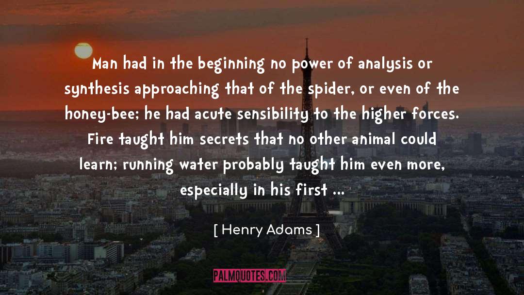 Acute quotes by Henry Adams