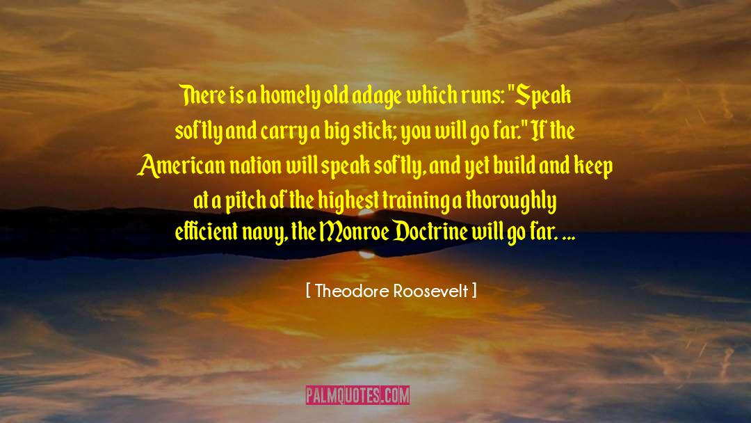 Adage quotes by Theodore Roosevelt