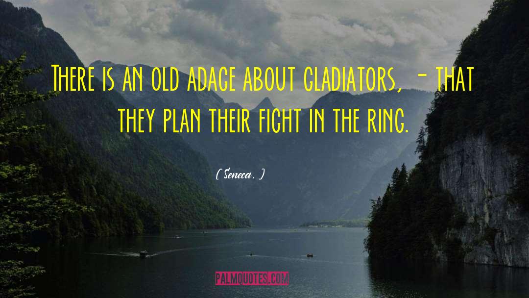 Adage quotes by Seneca.