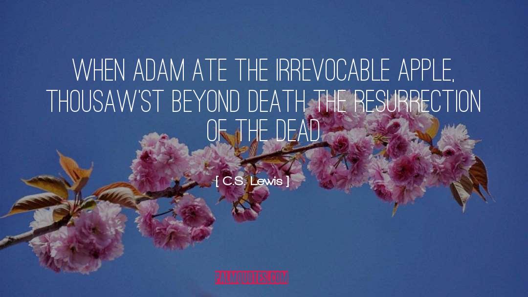 Adam Elsayed quotes by C.S. Lewis