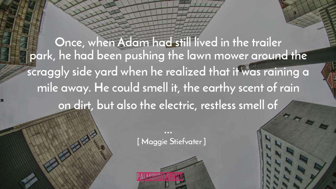 Adam P Knave quotes by Maggie Stiefvater