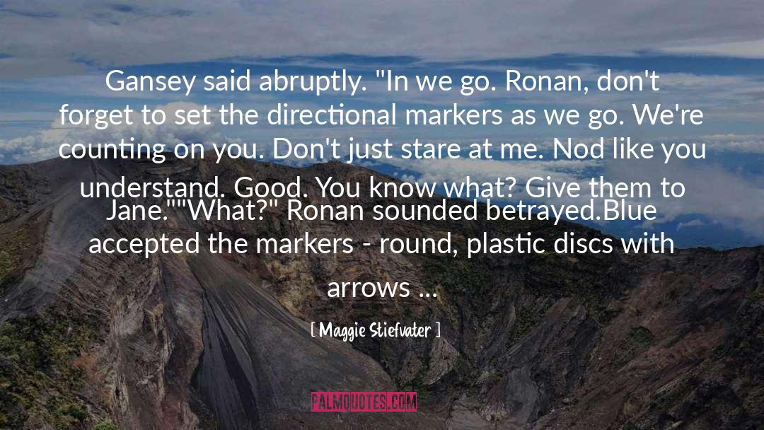 Adam S Downfall quotes by Maggie Stiefvater