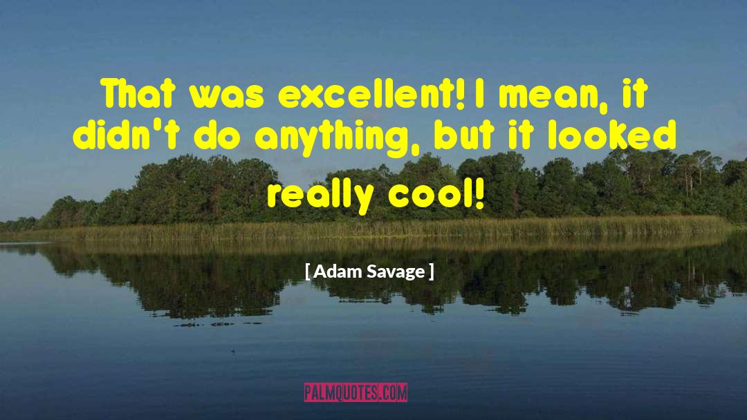 Adam Savage quotes by Adam Savage