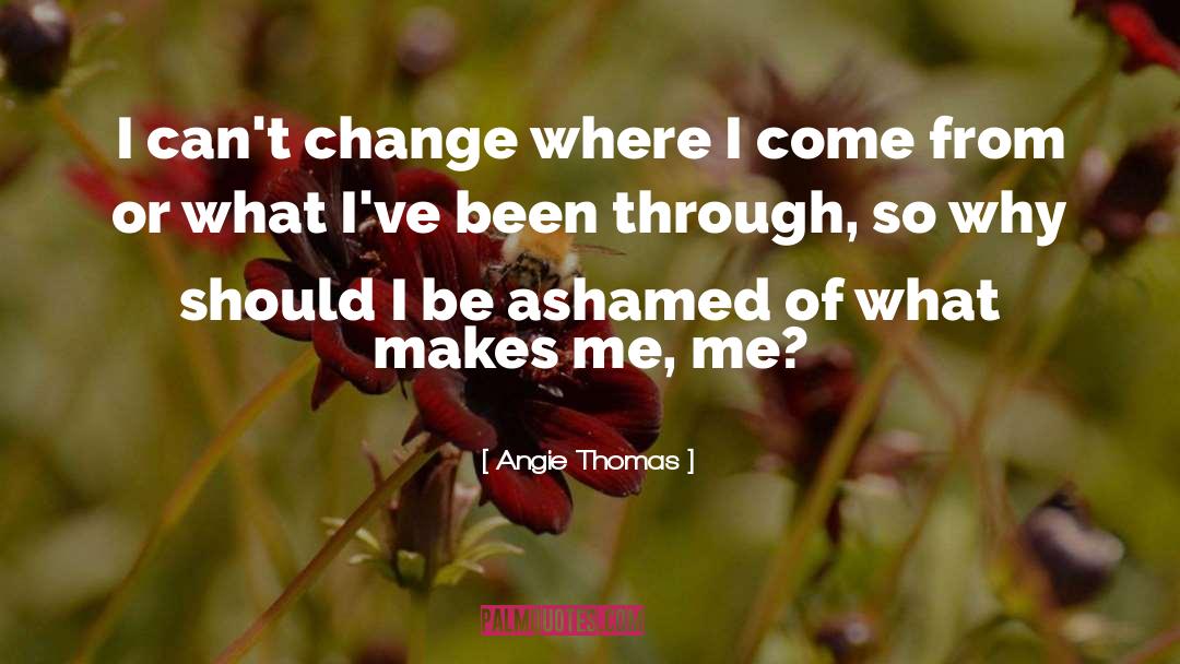 Adapt Or Change quotes by Angie Thomas