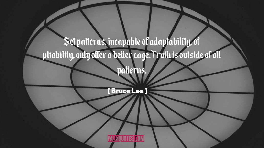 Adaptability quotes by Bruce Lee