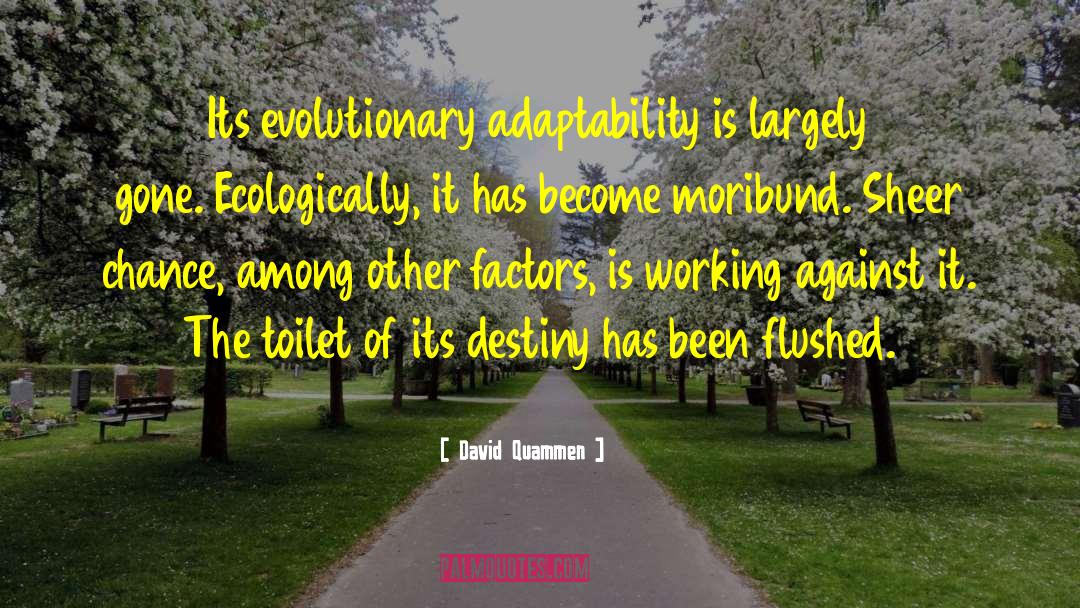 Adaptability quotes by David Quammen