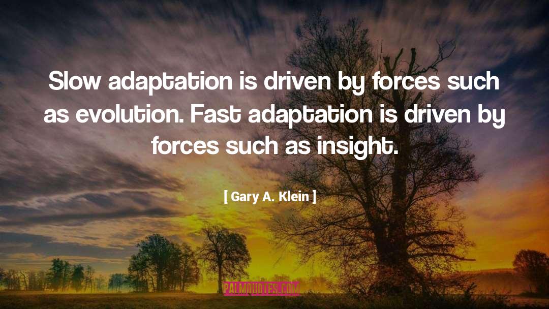 Adaptation quotes by Gary A. Klein