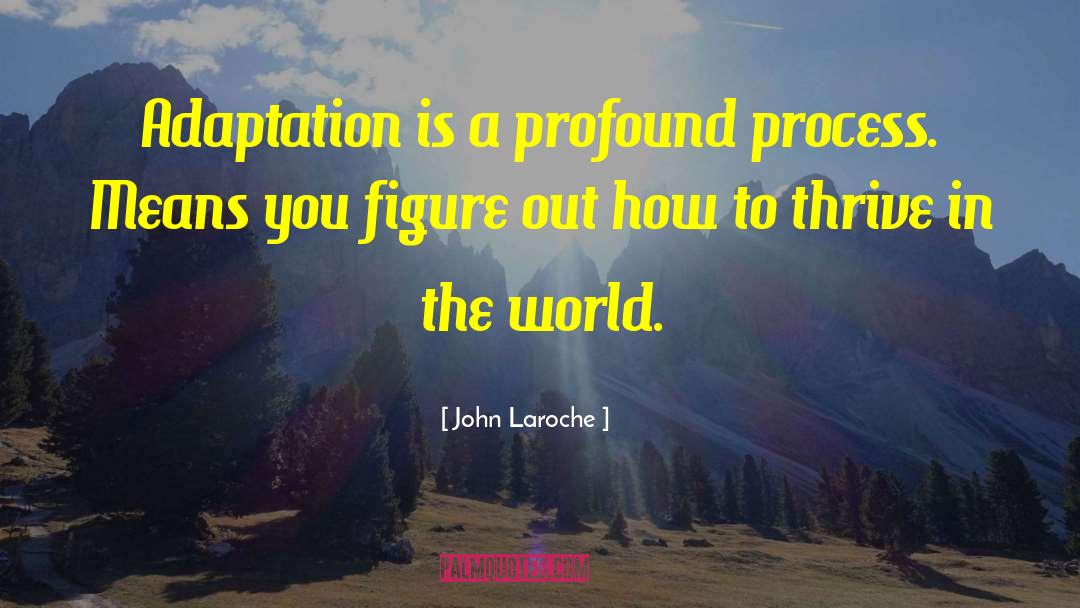 Adaptations quotes by John Laroche