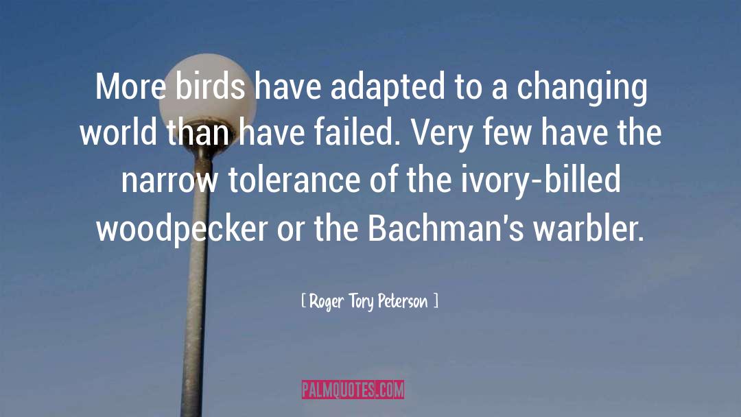 Adapted quotes by Roger Tory Peterson