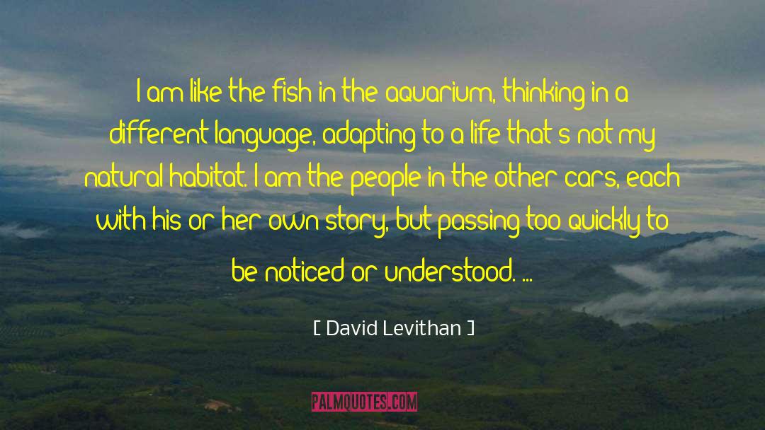 Adapting quotes by David Levithan