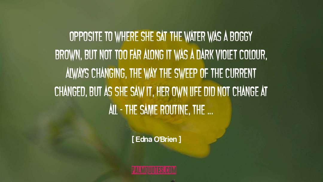 Adapting To Change quotes by Edna O'Brien