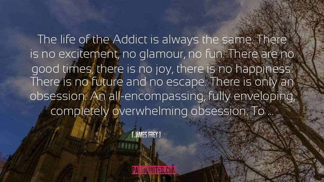 Addict quotes by James Frey