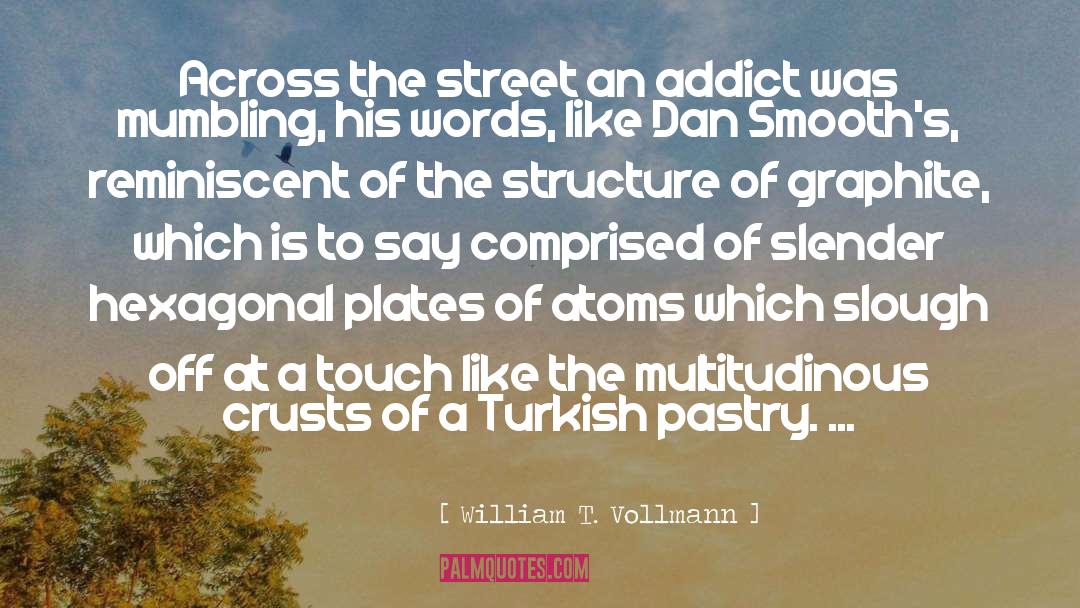 Addict quotes by William T. Vollmann