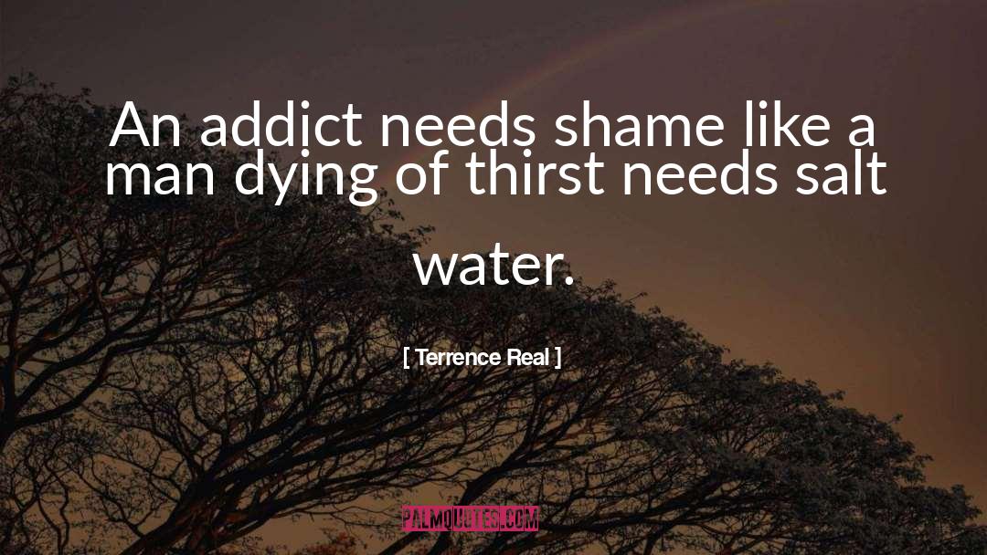 Addict quotes by Terrence Real