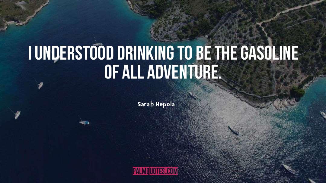 Addiction Alcoholism Drinking quotes by Sarah Hepola