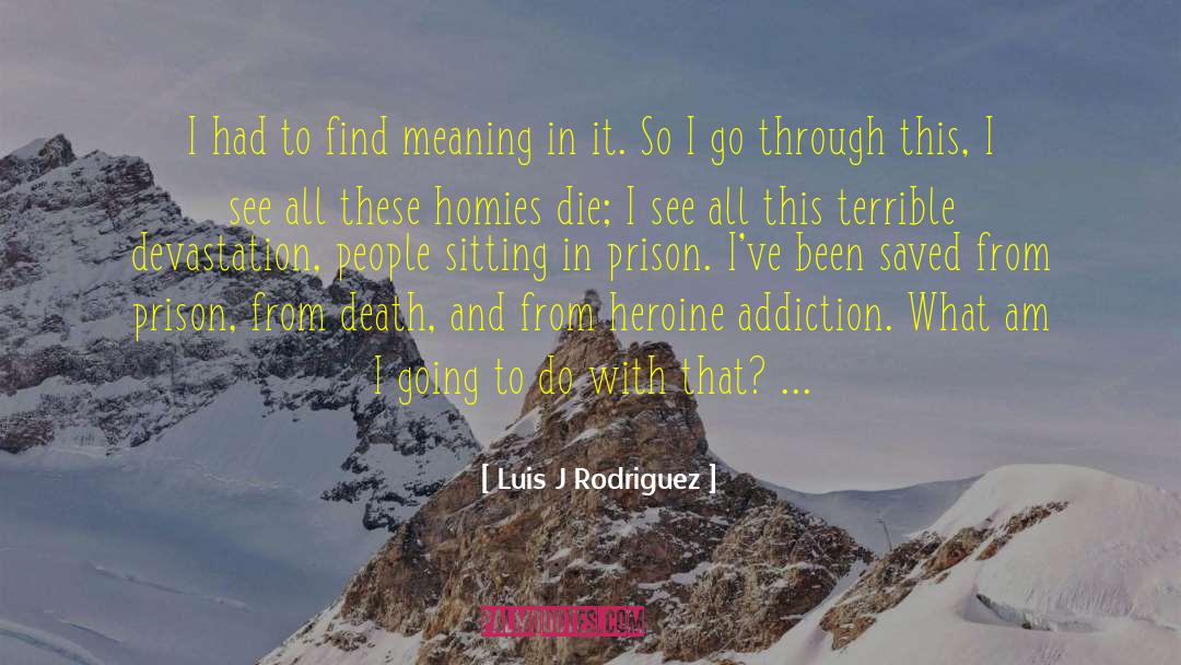 Addiction Centers quotes by Luis J Rodriguez