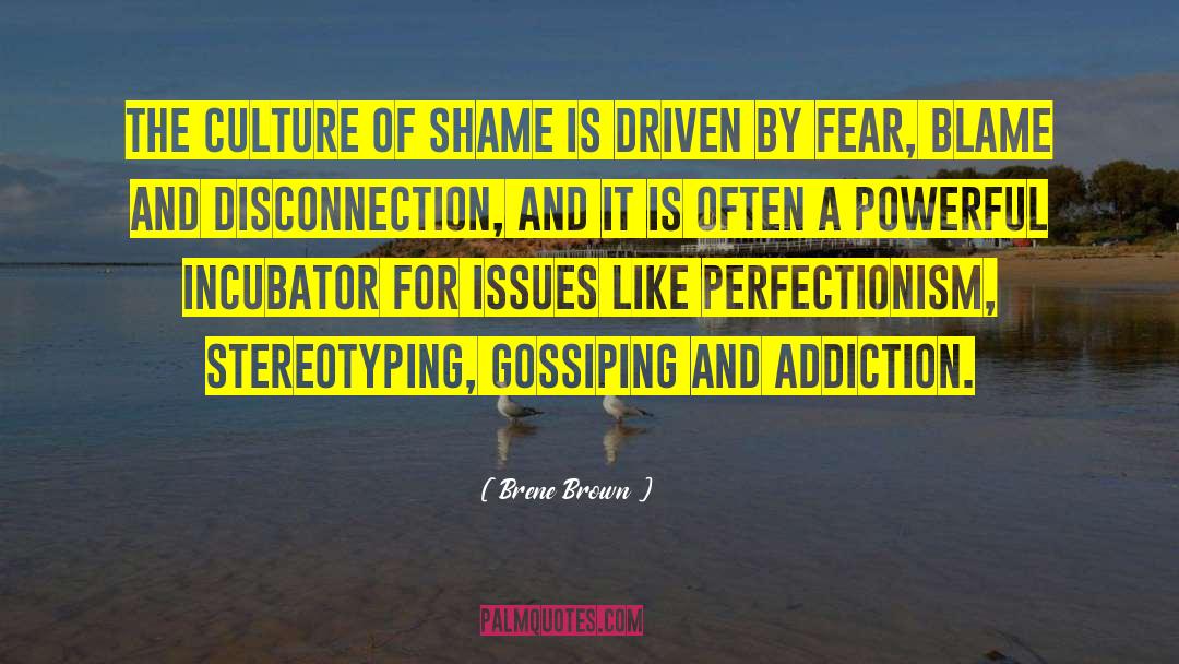 Addiction Centers quotes by Brene Brown